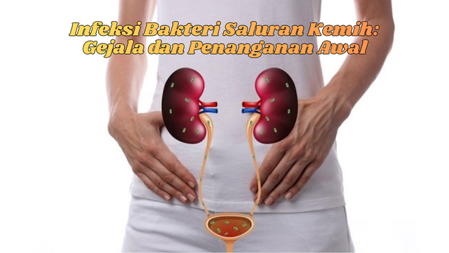 Infeksi Bakteri Saluran Kemih