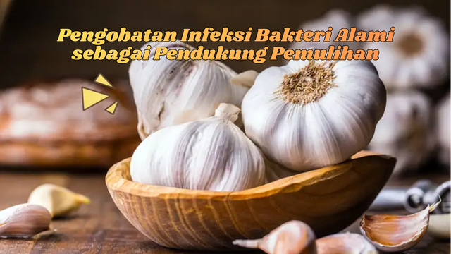 Pengobatan Infeksi Bakteri Alami
