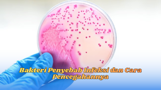 bakteri penyebab infeksi