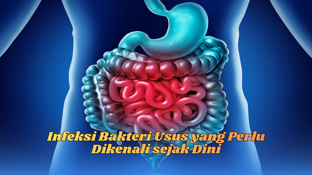 infeksi bakteri usus