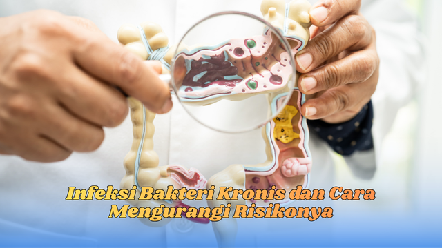 infeksi bakteri kronis